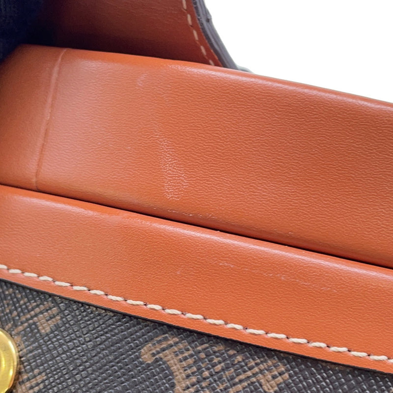 Celine Shoulder Bag Triomphe Tambourt Vanity Leather Medium 195192 CELINE Bag